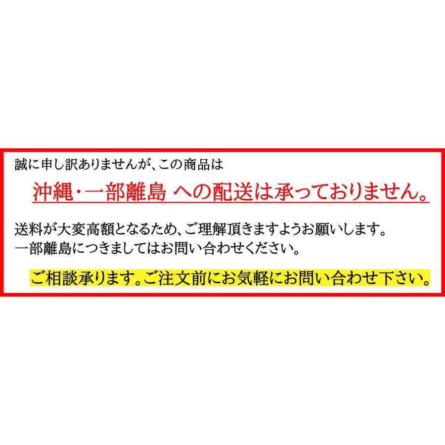 ゴルフ打席マット ロイヤル・ストロング兼用　グリーンマットＤＸ TN-15-1717 本格派！ ゴルフ練習用マット｜kiitos-shop｜03