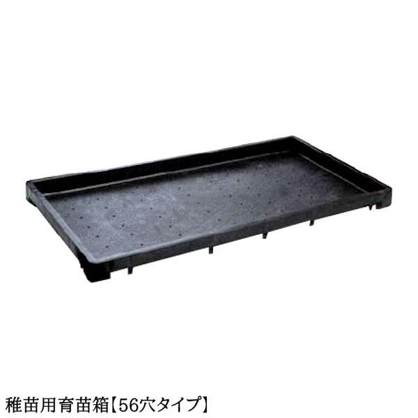 育苗箱 苗箱 苗 肥料 根 根離れ 通水性 種 たね タネ さし木 さし芽