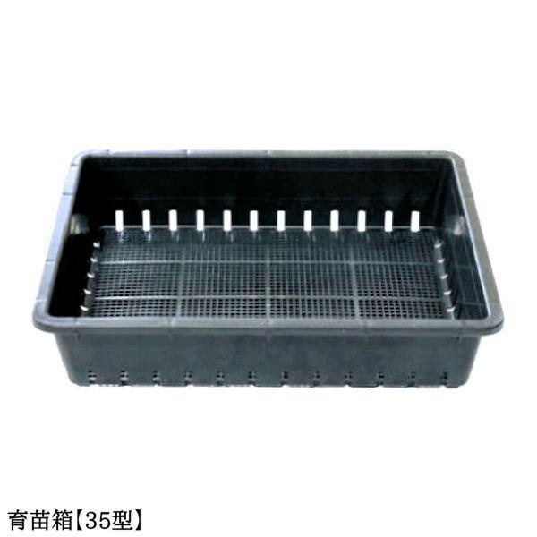 育苗箱 苗箱 苗 肥料 根 根離れ 通水性 種 たね タネ さし木 さし芽