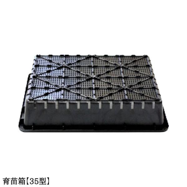 苗箱、育苗箱 育苗箱 稚苗用 56穴タイプ モノタロウ 【通販モノタロウ】