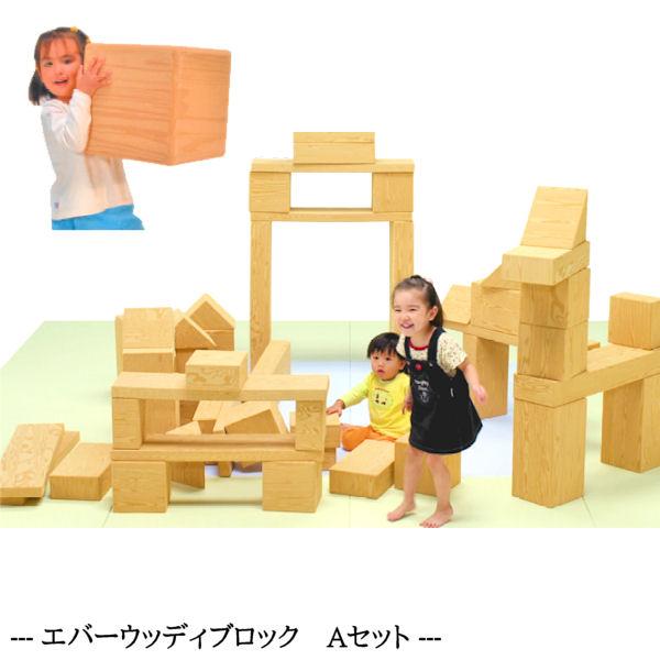 エバーウッディブロック Aセット 食品衛生法合格品 知育玩具 子ども用