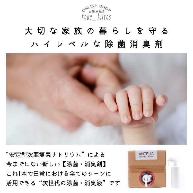 除菌 消臭剤 安定型次亜塩素酸ナトリウム 10L 日本製 アンテジア