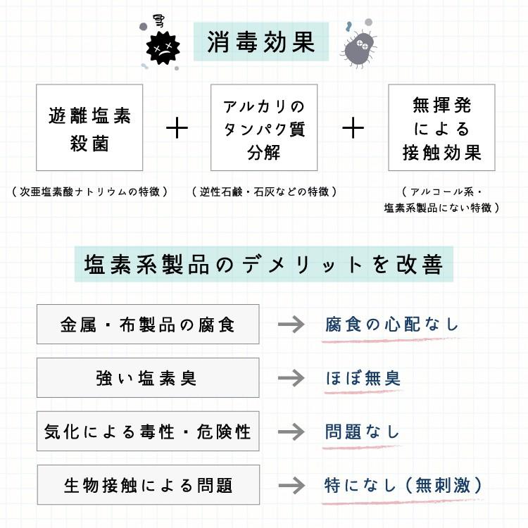除菌 消臭剤 安定型次亜塩素酸ナトリウム 10L 日本製 アンテジア