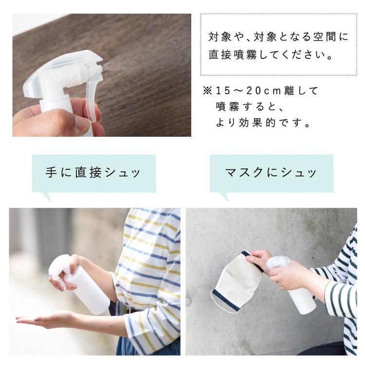 除菌 消臭剤 安定型次亜塩素酸ナトリウム 10L 日本製 アンテジア