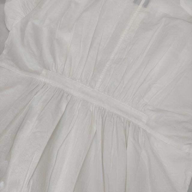 オオカミとフクロウ portom21022 フクロウと月光の白クジラ コットン