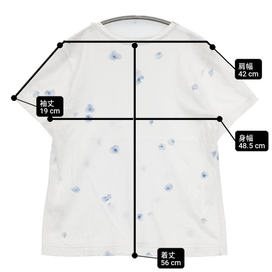 Pal'las Palace（パラスパレス） ラフィ天竺プリント CT25160B サイズ3