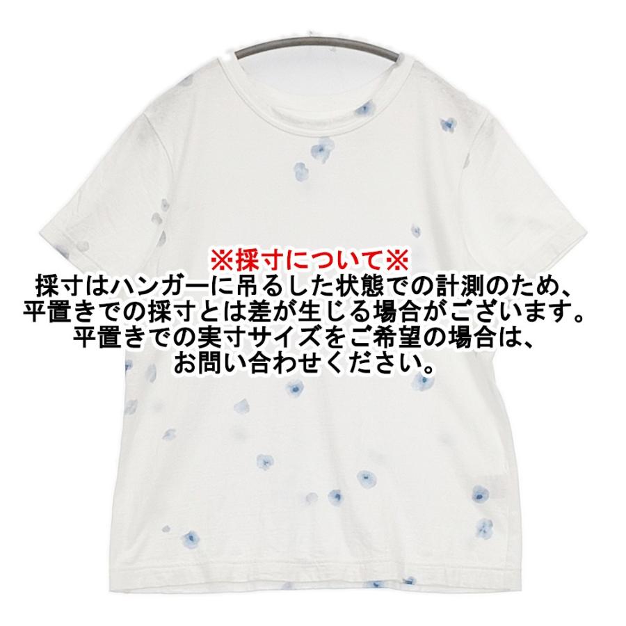Pal'las Palace（パラスパレス） ラフィ天竺プリント CT25160B サイズ3
