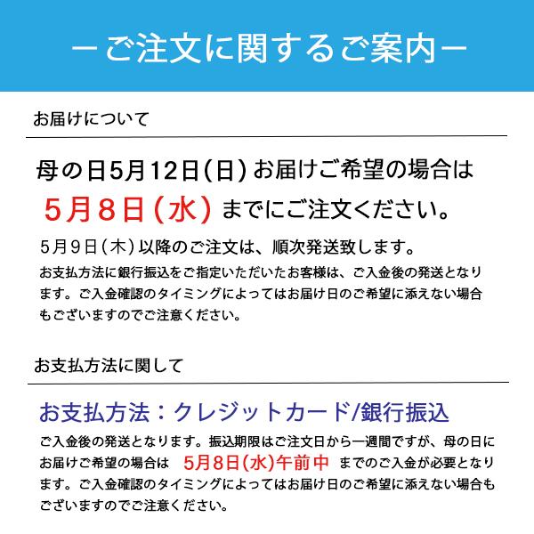 母の日 プレゼント ギフト 食べ比べセット がんじゅう堂 沖縄そば ソーキ生そば 2人前 コーレーグース 3点セット｜kijimaya｜12