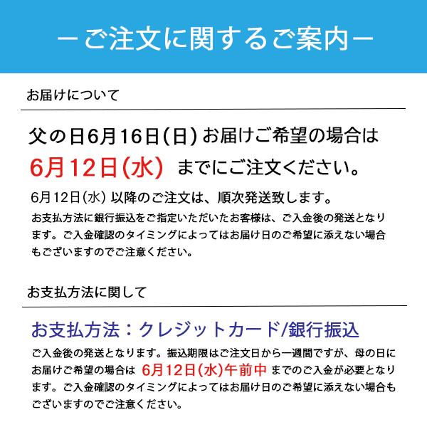 父の日 プレゼント ギフト アイス 6個入 SLスペシャルパック 沖縄 アイスクリーム スイーツ 沖縄 お土産 お菓子｜kijimaya｜05