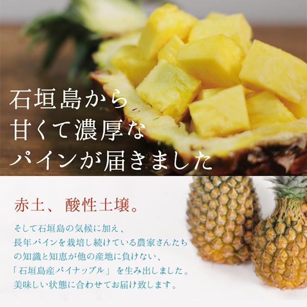 ギフト 沖縄 石垣島産 パイナップル ハワイ種 3kg 3〜5玉 沖縄 お土産 |  | 01