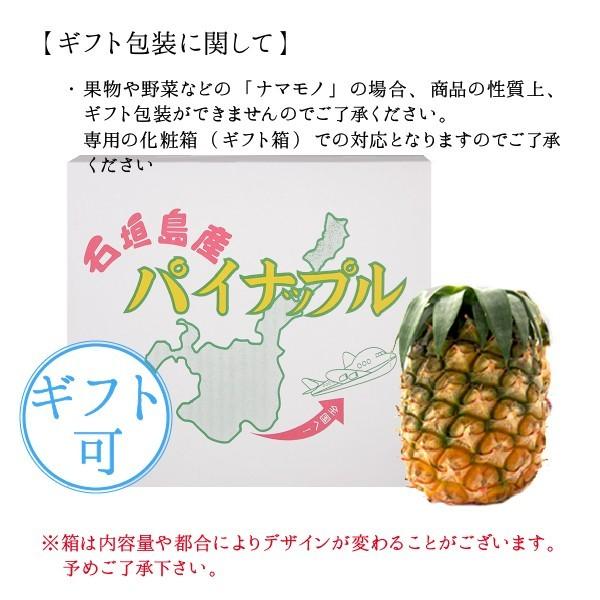 ギフト 沖縄 石垣島産 パイナップル ハワイ種 5kg 5〜7玉 沖縄 お土産 |  | 06