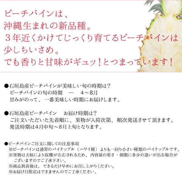 ギフト 沖縄 石垣島産 ピーチパイン 6kg 6〜9玉 沖縄 お土産 フルーツギフト｜kijimaya｜03