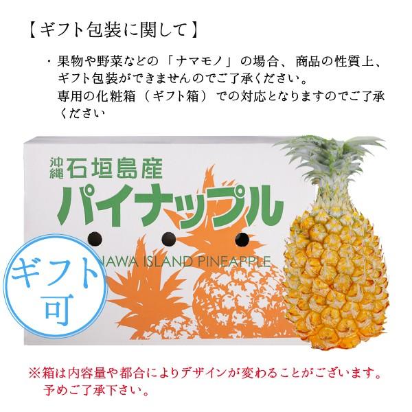 沖縄 石垣島産 スナックパイン 3kg 3〜5玉 フルーツギフト : 沖縄 喜島 