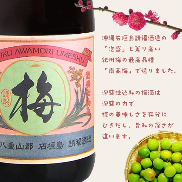 ギフト 選べる2本セット 請福酒造 720ml 10〜12度 沖縄 お土産