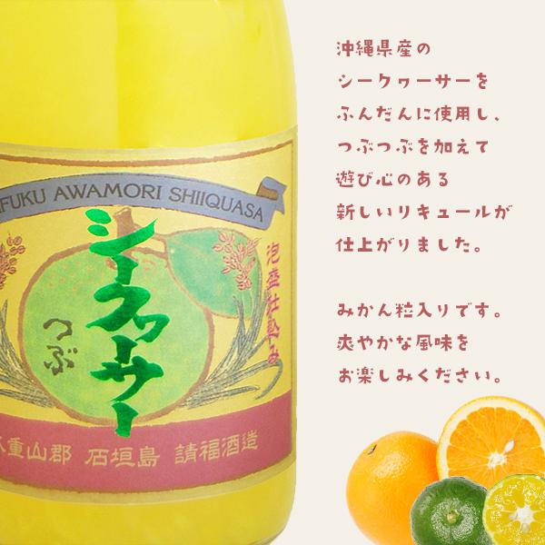 ギフト 選べる2本セット 請福酒造 720ml 10〜12度 沖縄 お土産