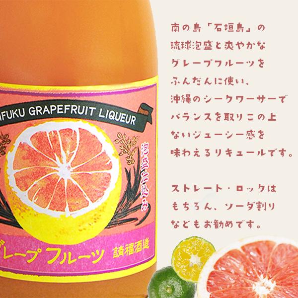 ギフト 選べる2本セット 請福酒造 720ml 10〜12度 沖縄 お土産