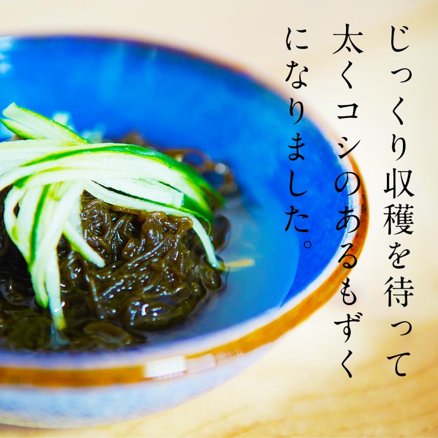 もずく 500g×2セット 沖縄 お土産 うるま市勝連産 : 沖縄 喜島商店