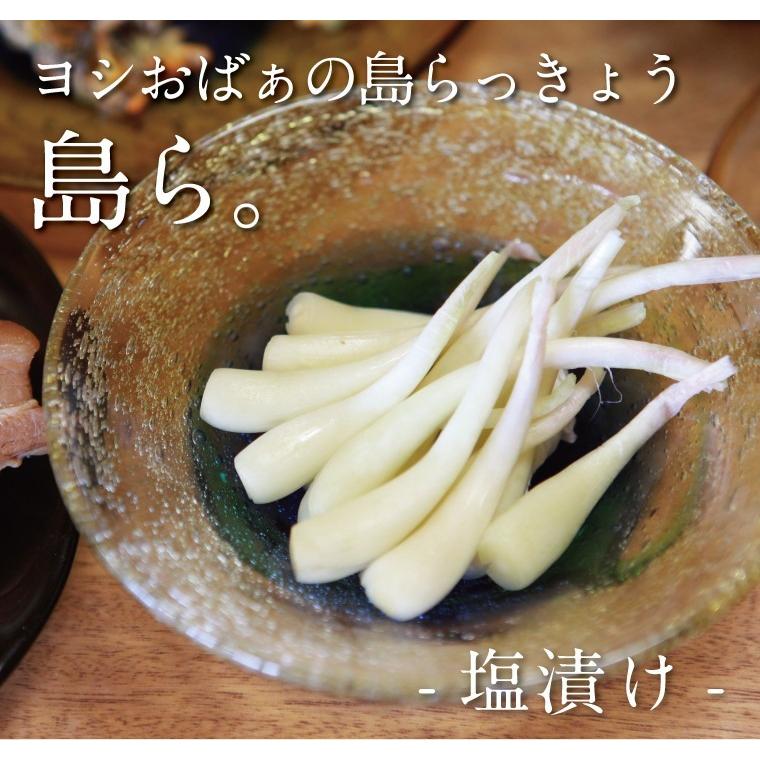 らっきょう 沖縄 漬物 ヨシおばぁの手作り 島ら。塩漬け 200g :tksr-a002:喜島商店 - 通販 - Yahoo!ショッピング らっきょう 沖縄 漬物 ヨシおばぁの手作り 島ら。塩漬け 200g :tksr-a002:喜島商店 - 通販 - Yahoo!ショッピング
