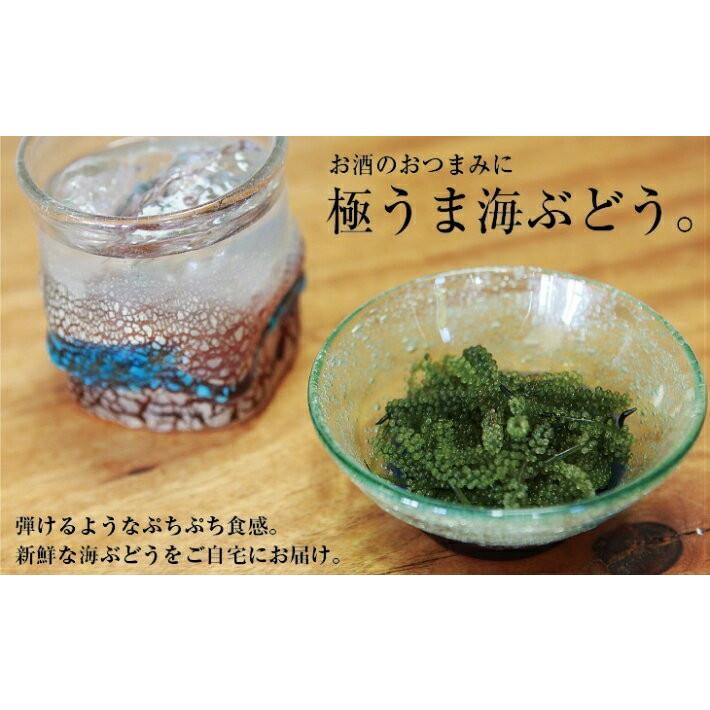 沖縄県産 海ぶどう 300g タレ付 海産物 海藻類 Tkub A003 喜島商店 通販 Yahoo ショッピング