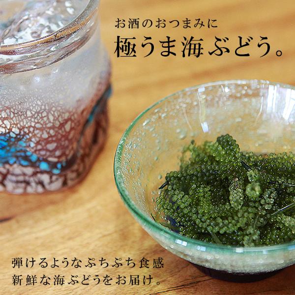 超美品の 沖縄県産 海ぶどう 500g 海藻類 タレ付 海産物 海ぶどう