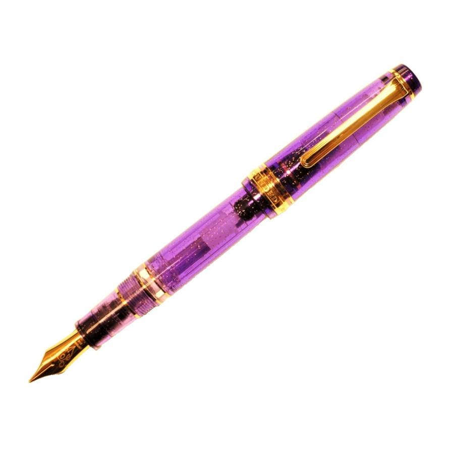 PenPointオリジナル万年筆 レアロ アヤメ 中字 単品 :B01818