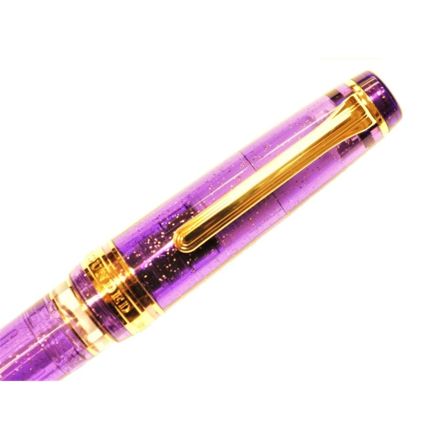 PenPointオリジナル万年筆 レアロ アヤメ 中字 単品 :B01818