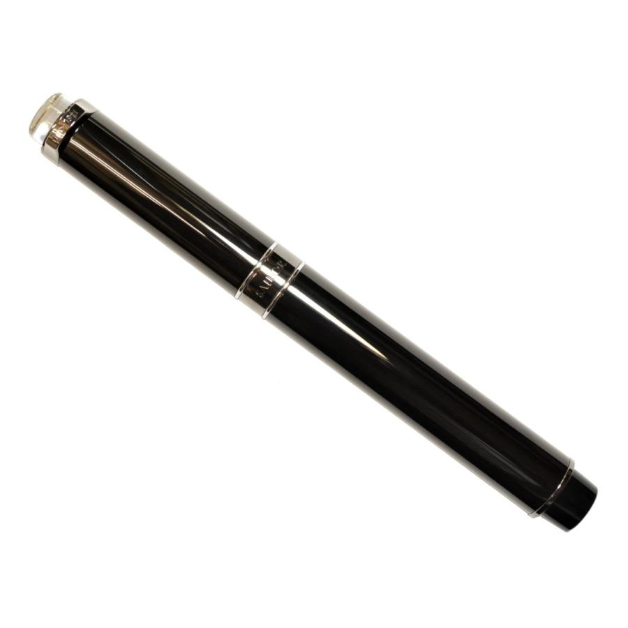 セーラー万年筆 万年筆 創業110周年記念 くろがね 中字 10