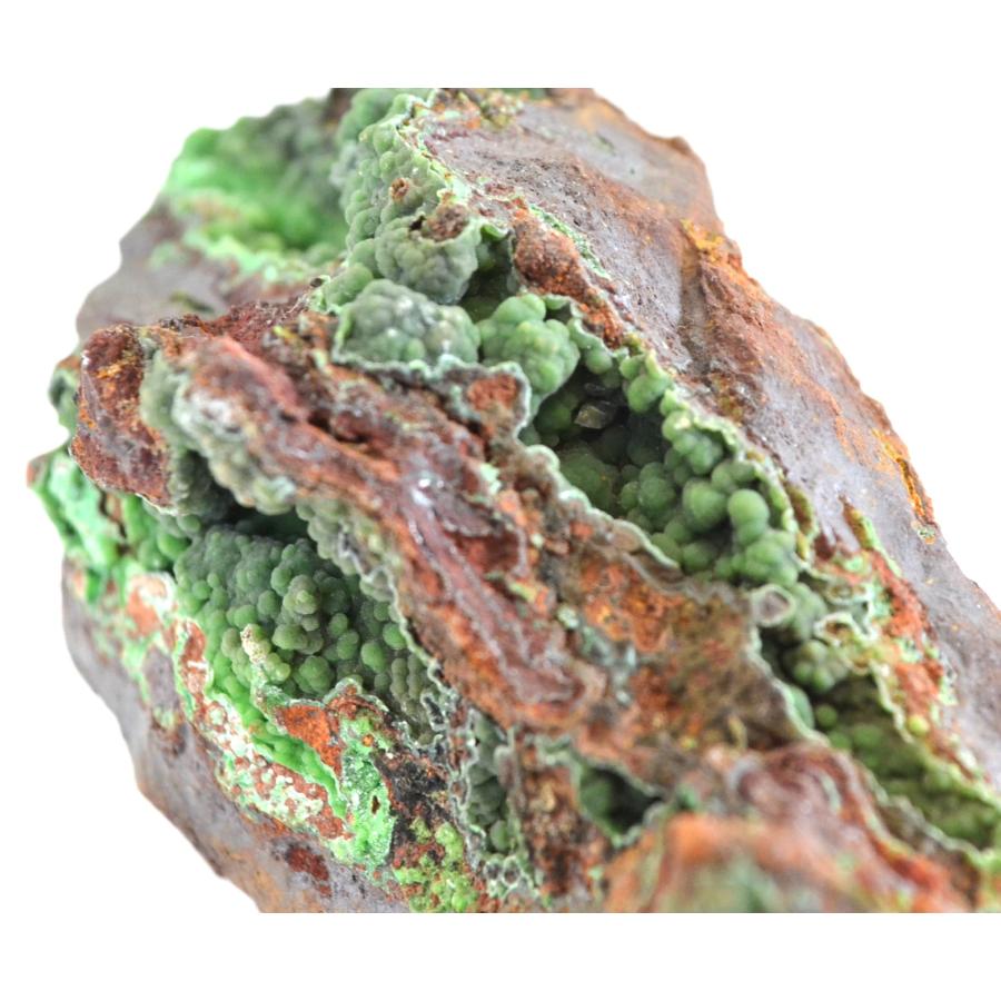 Conichalcite コニカルコ石 鉱物標本 鉱物標本 原石 コニカルコ石 Conichalcite メキシコ産 : PEN