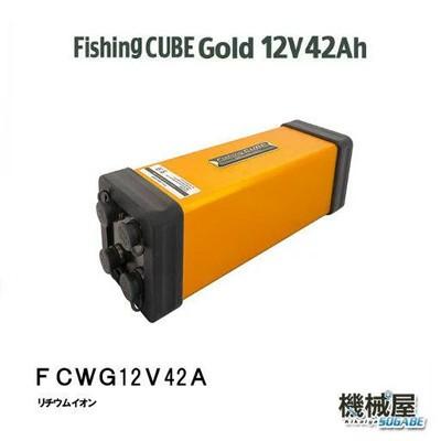 フィッシングキューブｇ ゴールドシリーズ 12ｖ 42ａ Fcwg12v42a Fishing Cube Gold 八洲電業 Yashima 釣り用バッテリー 電動リール用 Www Ramnurtextile Com