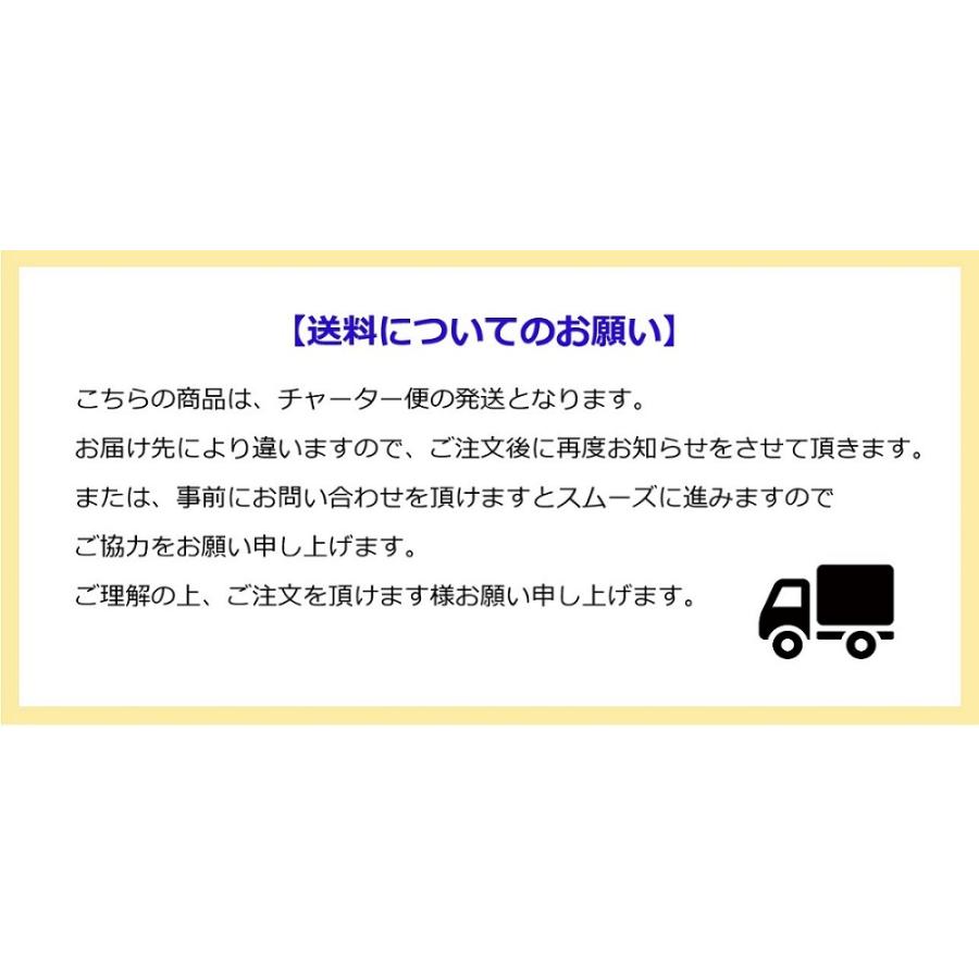 空気タンク ST1500E-90 1500L 明治機械製作所 エアータンク 補助 空気タンク ST1500E-90 1500L 明治機械製作所 エアータンク 補助
