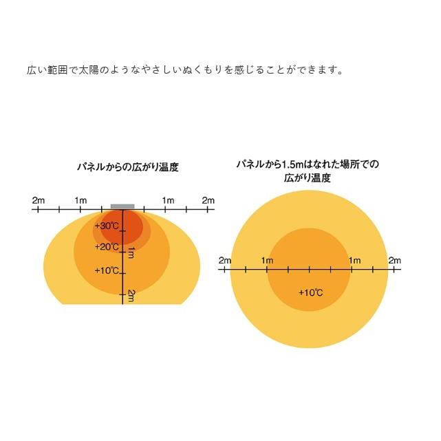 遠赤外線電気ヒーター 静岡製機 WPS-30T 天吊り 壁掛け業務用 遠赤外線電気ヒーター 静岡製機 WPS-30T 天吊り 壁掛け業務用