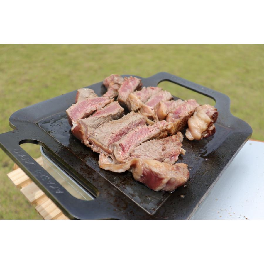 BBQ鉄板 極厚6mm Sサイズ (32×26cm) バーベキュー アウトドア BBQ鉄板 極厚6mm Sサイズ (32×26cm) バーベキュー アウトドア