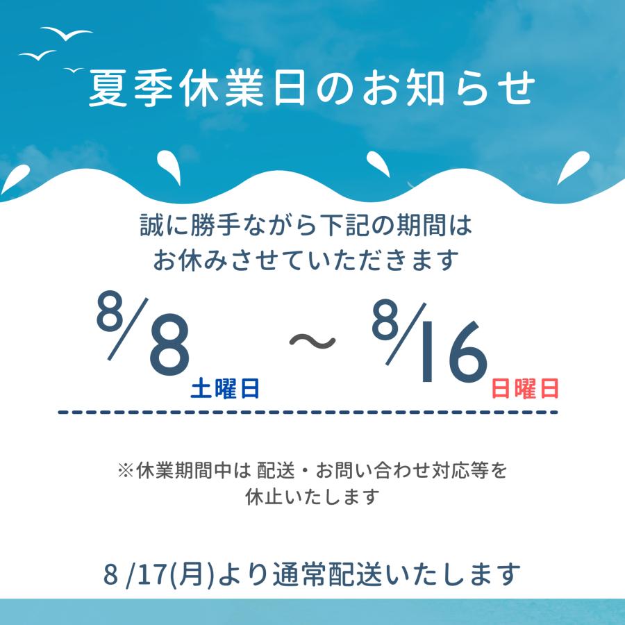 白くまくん エアコン 6畳 2025年度モデル 日立 AJシリーズ RAS-AJ2225S