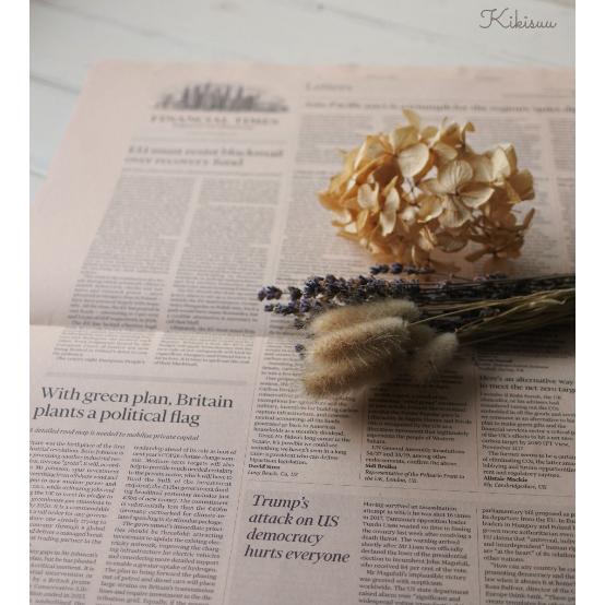 フィナンシャルタイムズ通常版 英字新聞ピンクペーパー5枚 : KIKISUU