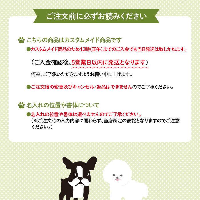 レッスンバッグ 通園バッグ 手提げ 名入れ 子供 キャラクター 犬