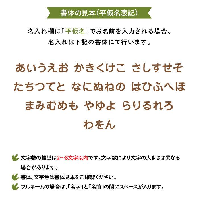 レッスンバッグ 通園バッグ 恐竜 手提げ 名入れ 子供 キャラクター ダイナソー（トリケラトプス）｜kikka-for-mother｜05