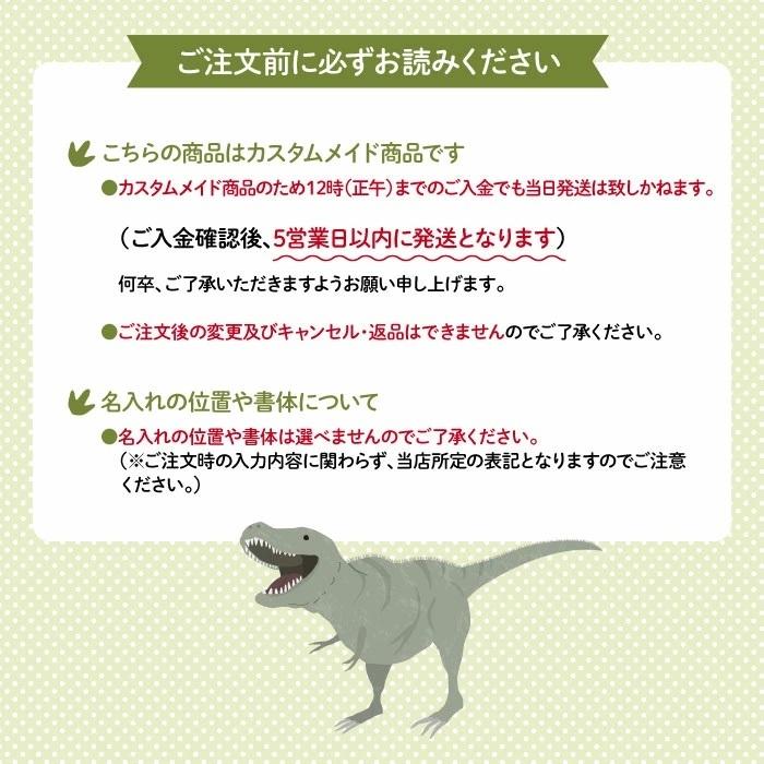 弁当箱 アルミ 通園 通学 名入れ キャラクター ダイナソー ティラノサウルス Kikka For Mother 通販 Yahoo ショッピング