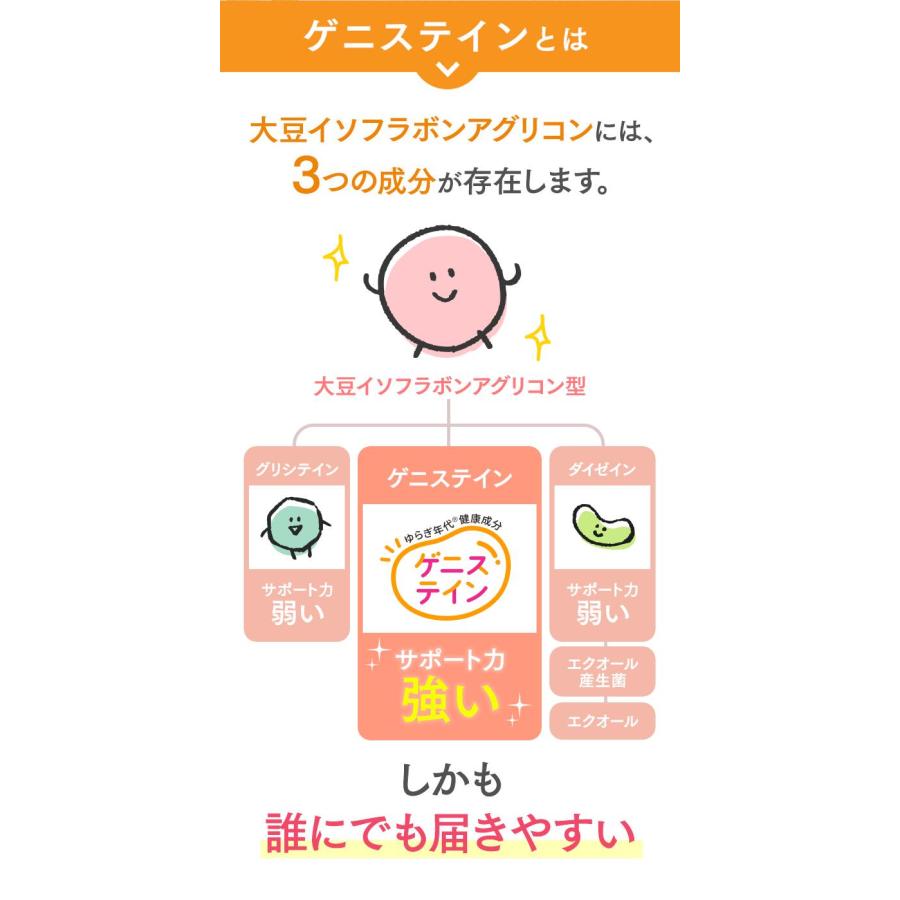 キッコーマン公式通販】【メール便 送料当店負担】ゲニステイン からだ