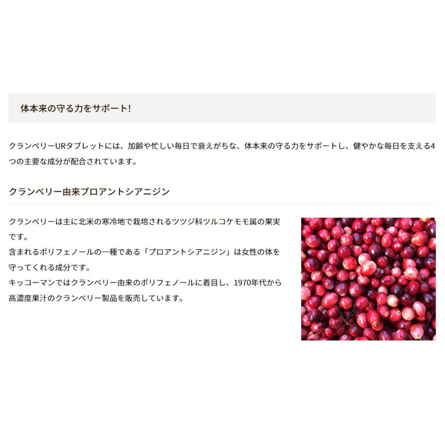 キッコーマン公式通販】【メール便 送料当店負担 】 からだ想い 
