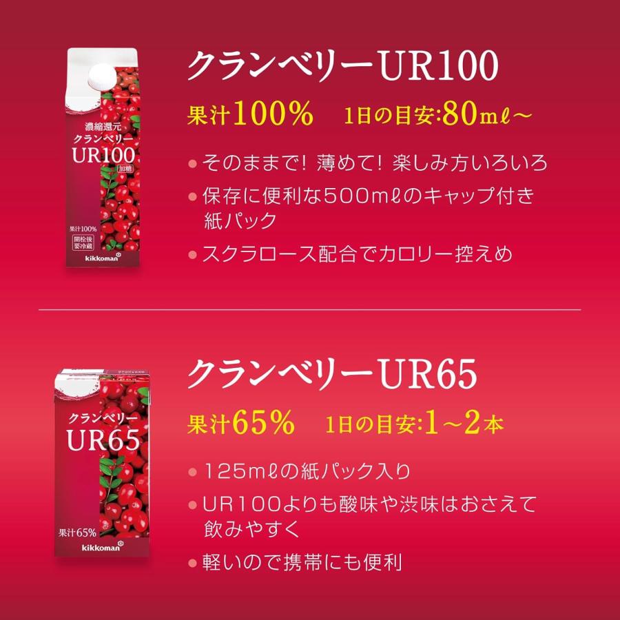 キッコーマン クランベリー UR100 クランベリージュース《キッコーマン 