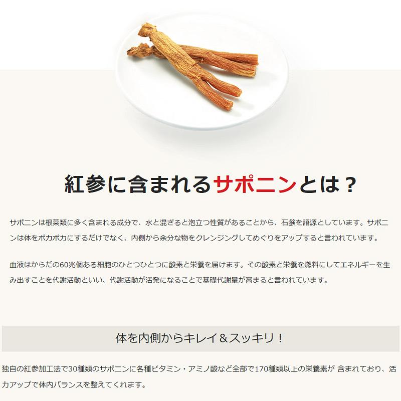 正官庄 高麗人参館 / 紅参精エブリタイム10ml×30包 everytime 高麗人参