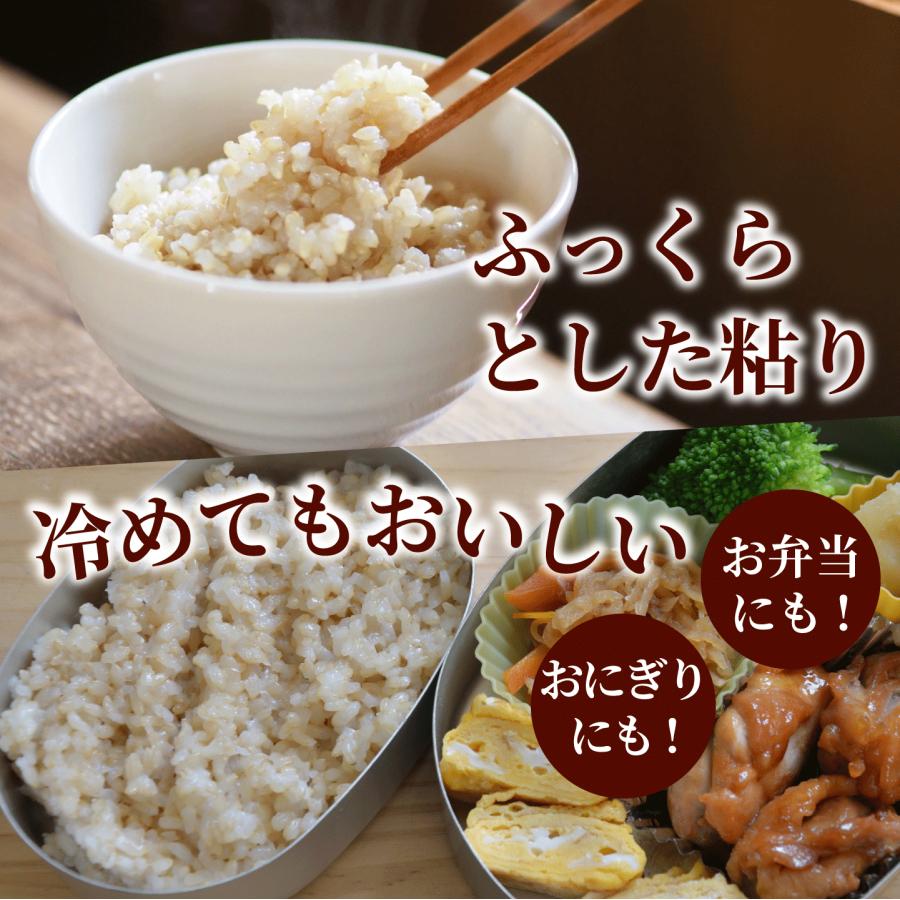 玄米 5kg 自然栽培 朝日米 令和５年産 送料無料 岡山県産 ごはん 農薬・肥料・除草剤に頼らない おかやま 自然栽培 米 [ 木村式 自然栽培 朝日米 後継商品 ]｜kikuchishuzo｜11