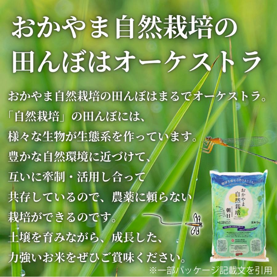 玄米 5kg 自然栽培 朝日米 令和５年産 送料無料 岡山県産 ごはん 農薬・肥料・除草剤に頼らない おかやま 自然栽培 米 [ 木村式 自然栽培 朝日米 後継商品 ]｜kikuchishuzo｜14