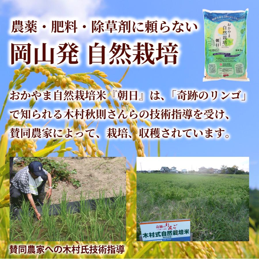 玄米 5kg 自然栽培 朝日米 令和５年産 送料無料 岡山県産 ごはん 農薬・肥料・除草剤に頼らない おかやま 自然栽培 米 [ 木村式 自然栽培 朝日米 後継商品 ]｜kikuchishuzo｜04