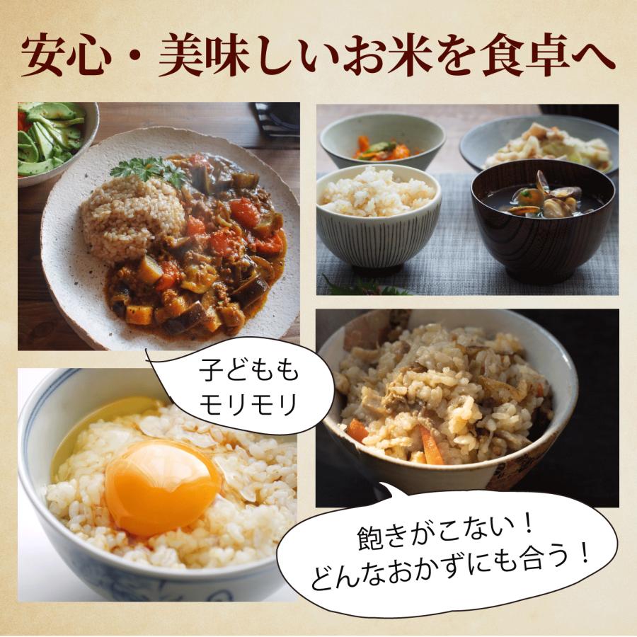 玄米 5kg 自然栽培 朝日米 令和6年産 送料無料 おかやま自然栽培