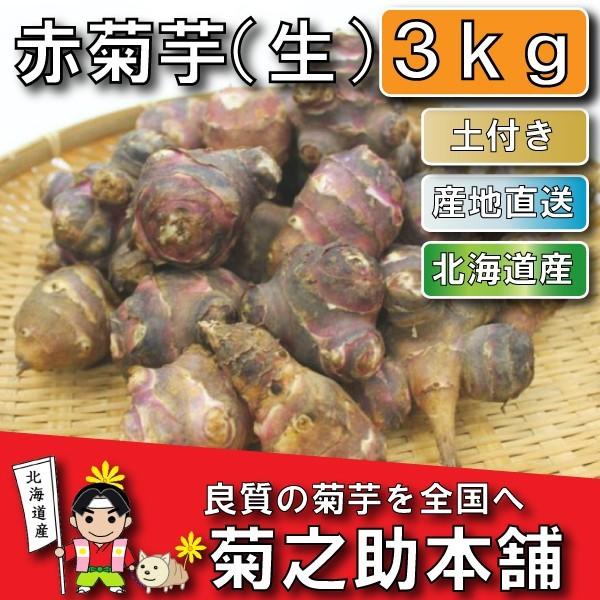 今話題の菊芋 北海道産 無農薬 化学肥料不使用 生 土付き 赤