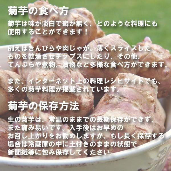 条件付き送料無料】今話題の菊芋 北海道産 無農薬 化学肥料不使用 生