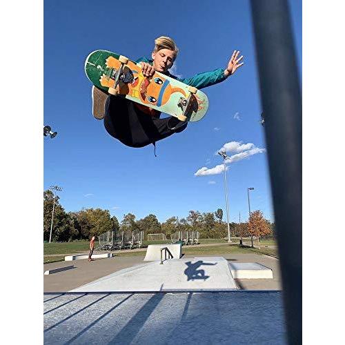 ローボード Yocaher Punked Complete Skateboards 7.75またはMini CruiserまたはMicro Cruiser Sha 【2449072680】(12922円)