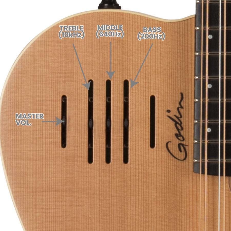Godin Guitars A12 Natural SG | ゴダン エレアコの画像