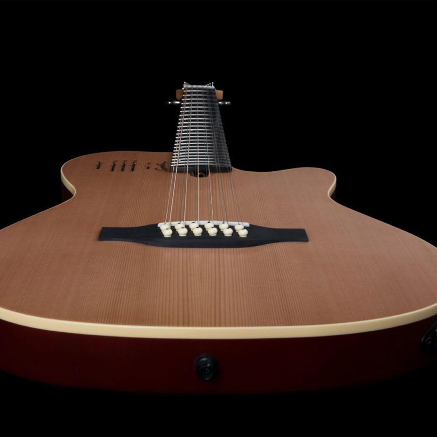 Godin Guitars A12 Natural SG | ゴダン エレアコの画像